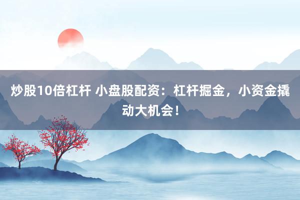 炒股10倍杠杆 小盘股配资:杠杆掘金,小资金撬动大机会!