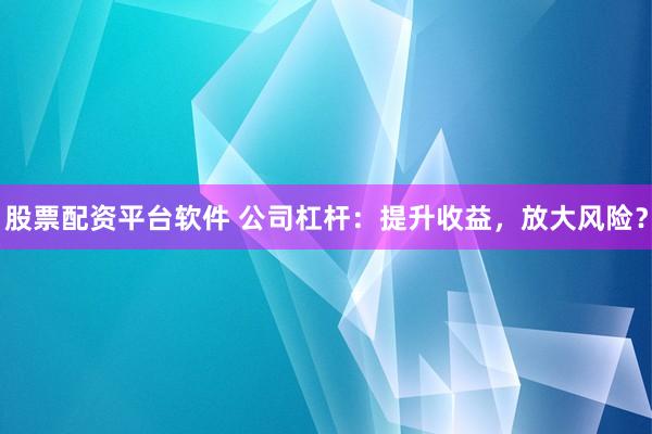 股票配资平台软件 公司杠杆：提升收益，放大风险？