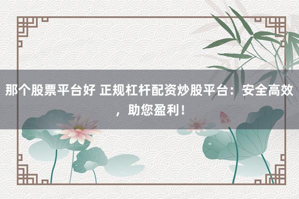 那个股票平台好 正规杠杆配资炒股平台：安全高效，助您盈利！