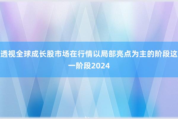 透视全球成长股市场在行情以局部亮点为主的阶段这一阶段2024