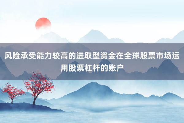 风险承受能力较高的进取型资金在全球股票市场运用股票杠杆的账户
