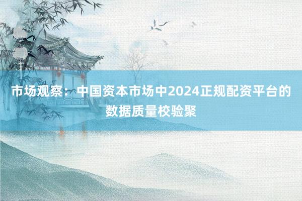 市场观察：中国资本市场中2024正规配资平台的数据质量校验聚