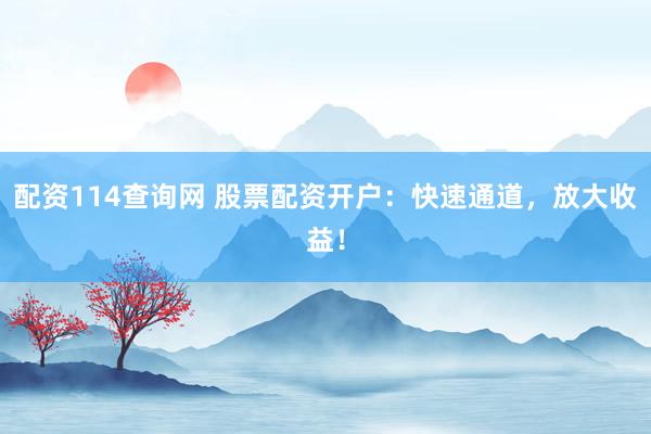 配资114查询网 股票配资开户：快速通道，放大收益！